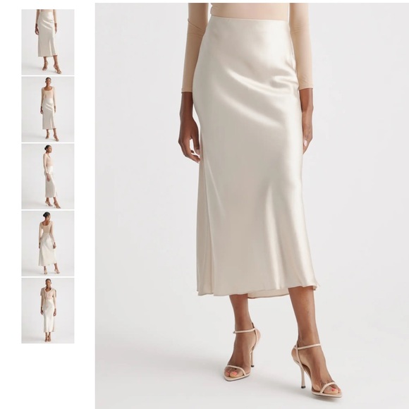 Quince 100% Silk Washable Maturnity Maxi Skirt Minimalist Classy Cream Small - Picture 1 of 9